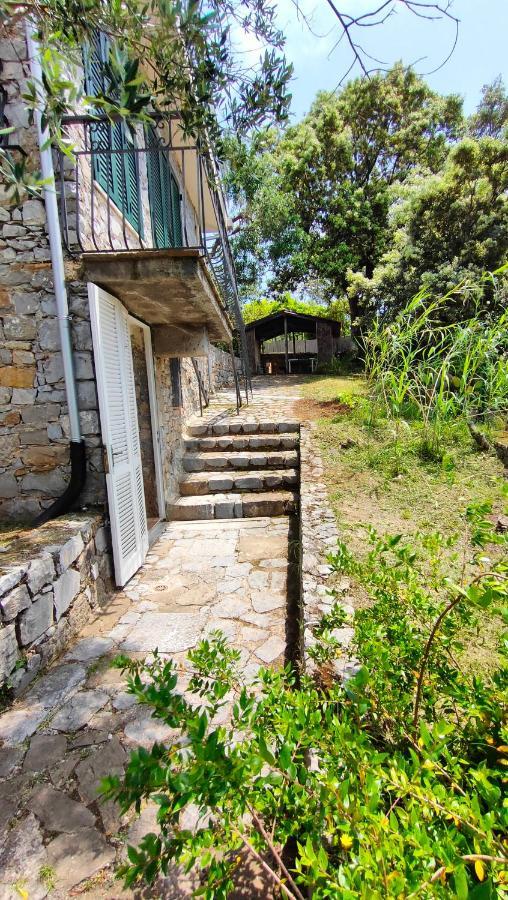 Villa Irma Marina di Camerota Exterior foto